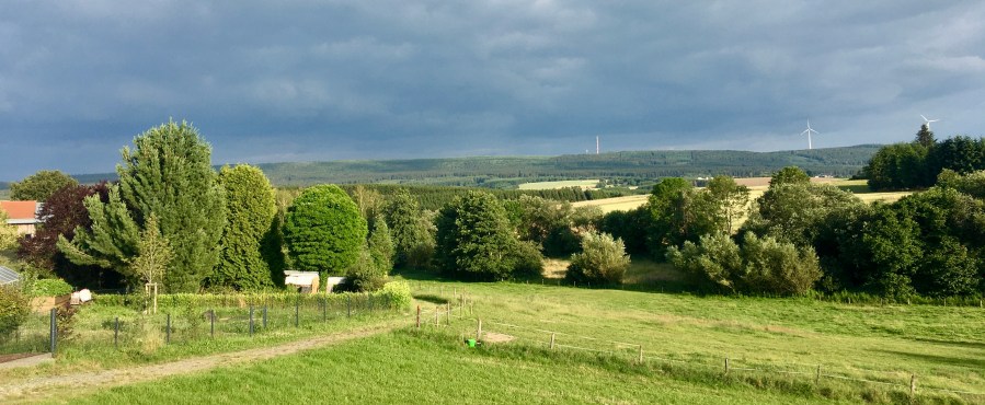 Blick auf den Teufelskopf, Schwarzwälder Hochwald